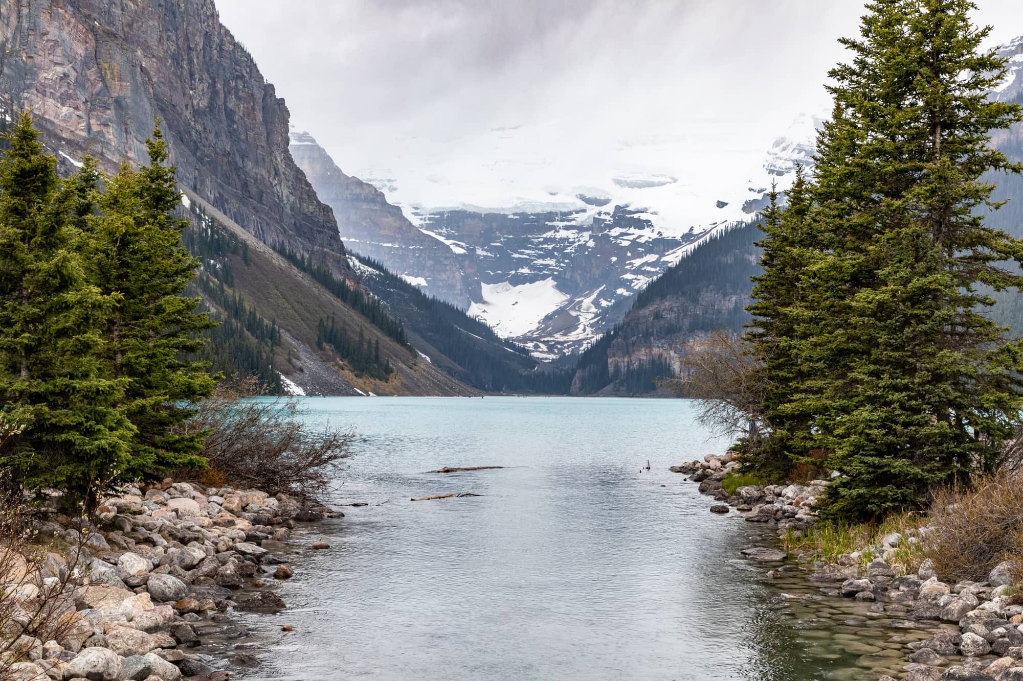 Turquoise Lake Louise framed by spruce trees and snow-capped mountains